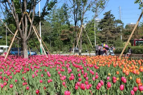 Changchun Zoological And Botanical Park