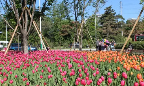 Changchun Zoological And Botanical Park