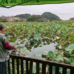田园湖畔·湖景餐厅 User Photo