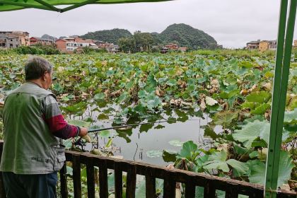 田园湖畔·湖景餐厅
