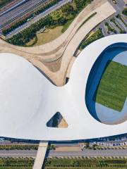 난징 칭아오 스포츠 공원 경기장