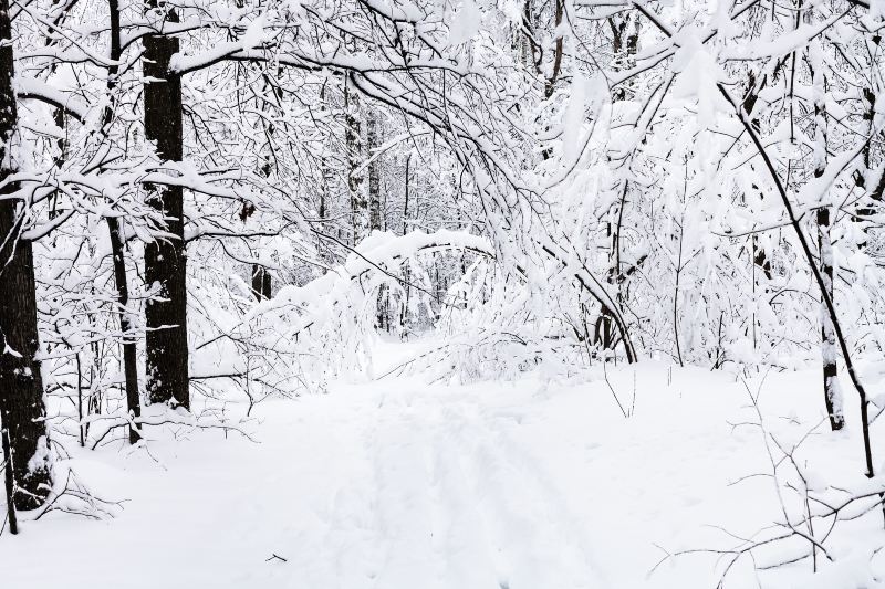 亞布力滑雪旅遊度假區