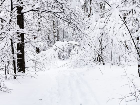 亞布力滑雪旅遊度假區