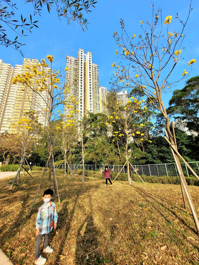 [ 親子好去處 ] 牛年 去 牛公園 ~ 牛池灣公園