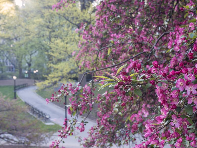 Liuhu Park