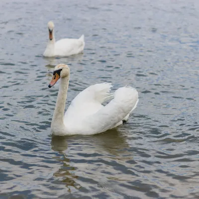 4-Star Hotels in Windermere