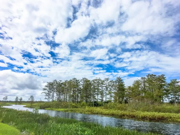 Qionghaitanmen Paigang Old Ferry Homestay