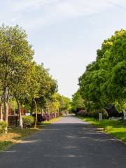 Taicang Modern Agriculture Park