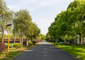 Taicang Modern Agriculture Park