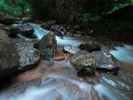 Luoding Longwan Ecological Tourism Area (Jiulong Waterfalls)