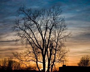 香港-東蘭辛 機票酒店 自由行