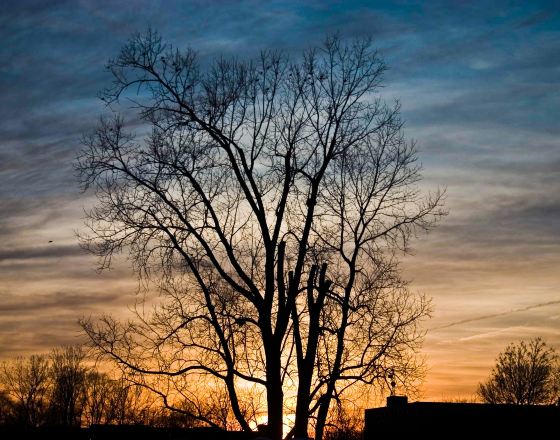 東蘭辛 自由行套票