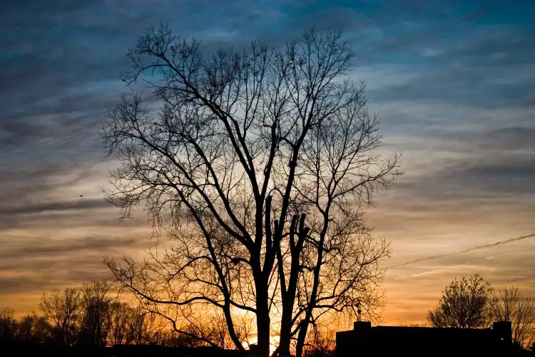 East Lansing