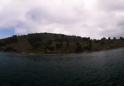 Puno