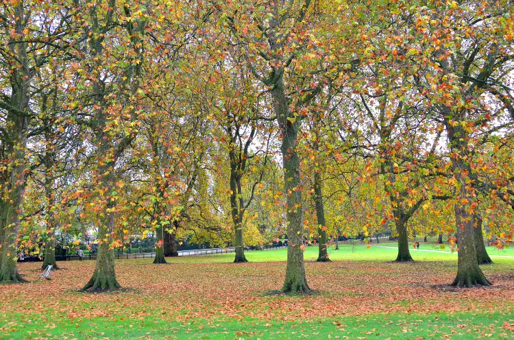 فنادق في Buckingham