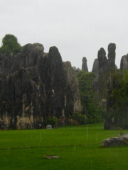 Langyuan Rock Field
