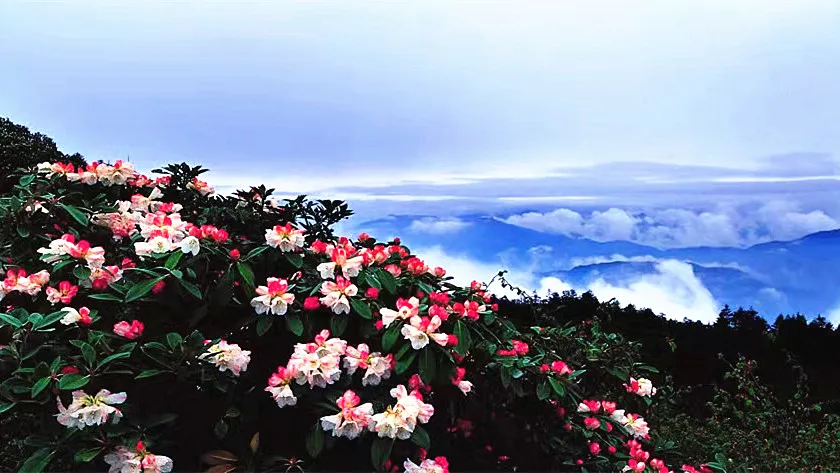 3_桂林貓兒山