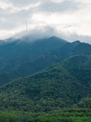 Beiling Mountain Forest Park