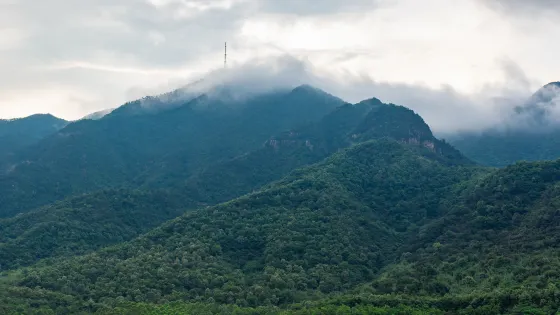 北嶺山森林公園