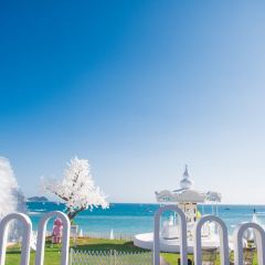 SEESEA Again User Photo