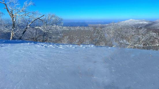 大秃顶子山位于中国雪乡西部的林区，主峰海拔1690米，是黑龙