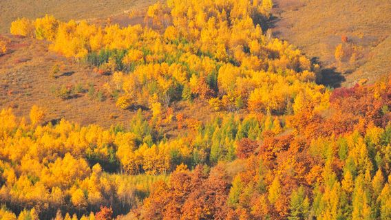 Sandaogou Forest Farm