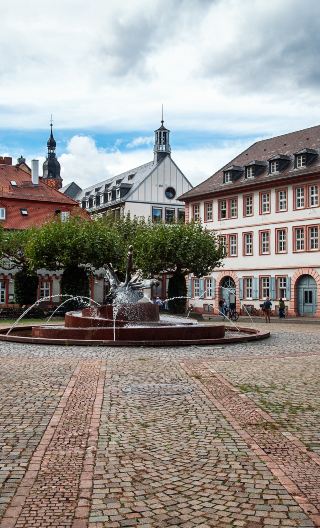 Neckar + Bismarckplatz + Hauptstraße + Ladenburg Private Charter Day Tour