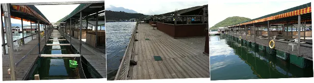 홍콩여행