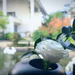 广富林宰相府酒店·水云间 User Photo