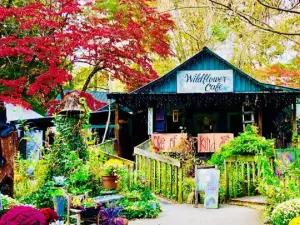 Wildflower Cafe