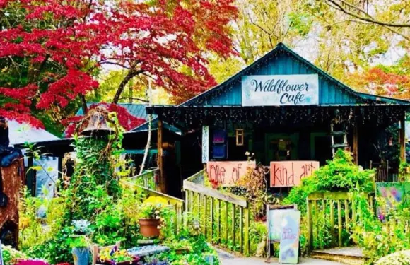 Wildflower Cafe