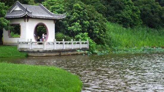 東莞生態園