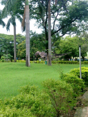 Раджендра Парк, Балангир