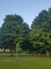 Llandaff Fields