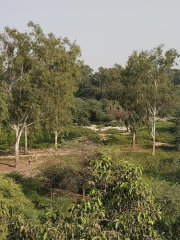 니할 비하르 공원