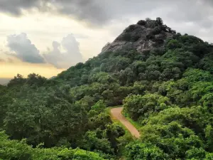 Kondapalli Reserve Forest