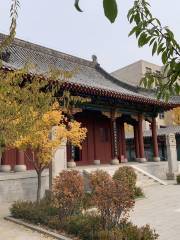 Haichengshi Museum