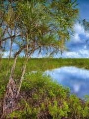 Walton Scrub Preserve