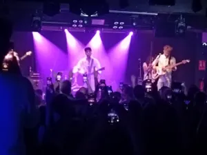 Wolf Barcelona