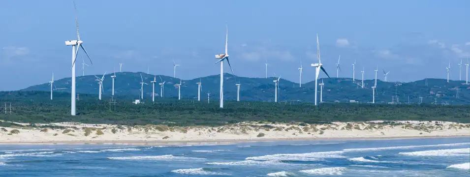 鄰近長江澳海灘的酒店