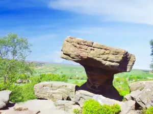 National Trust - Brimham Rocks