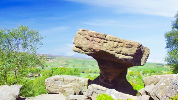 National Trust - Brimham Rocks