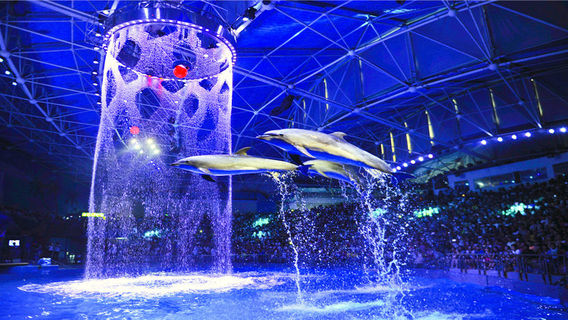 Dalian Laohutan Ocean Park