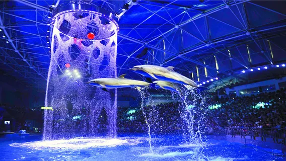 Dalian Laohutan Ocean Park