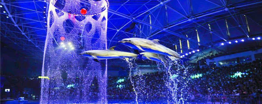 Dalian Laohutan Ocean Park