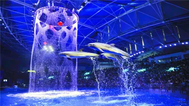 老虎灘海洋公園