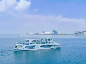 Zhanjiang Black-headed Gull Cruise