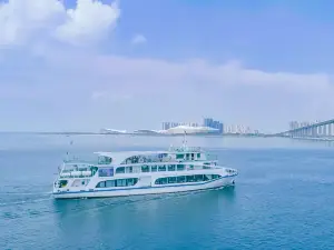 Zhanjiang Black-headed Gull Cruise
