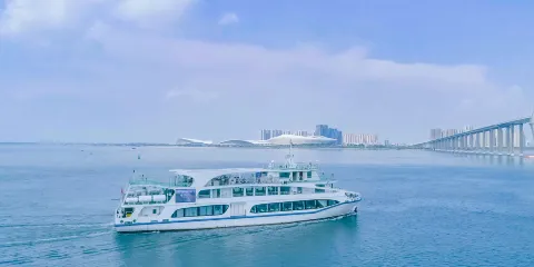 湛江紅嘴鷗遊船