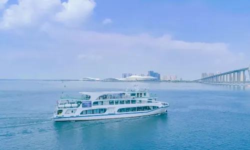 Zhanjiang Black-headed Gull Cruise